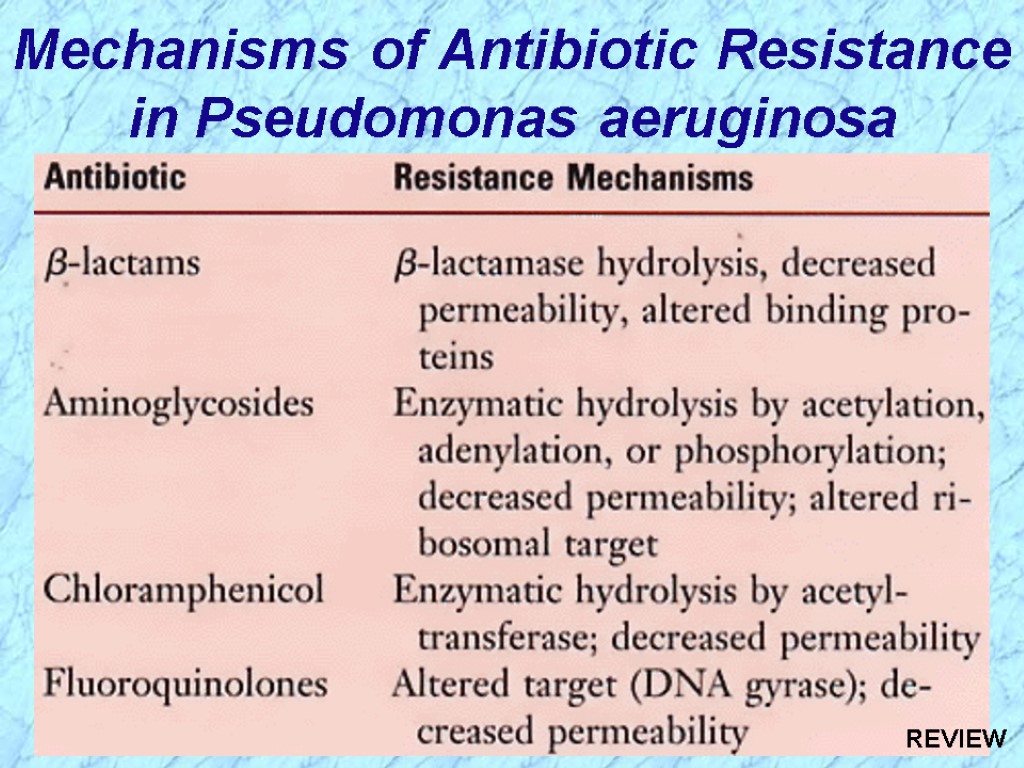 Mechanisms of Antibiotic Resistance in Pseudomonas aeruginosa REVIEW